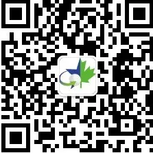 WeChat Official